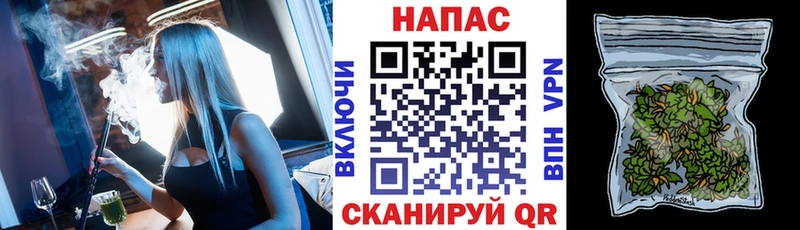 Конопля Малгобек