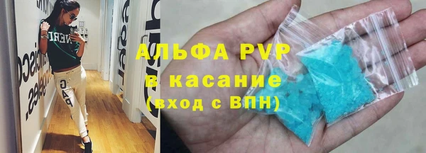 гашик Козельск