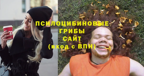 СК Козловка