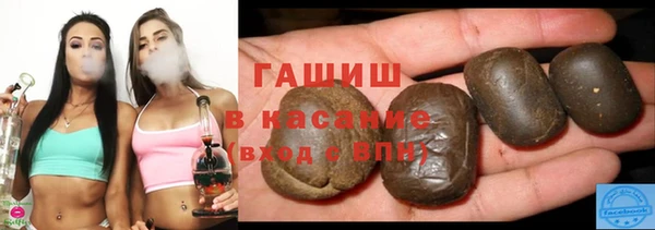 гашик Козельск