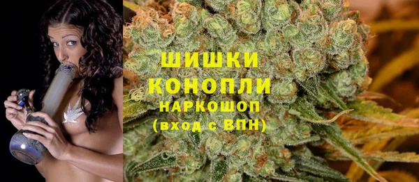 гашик Козельск