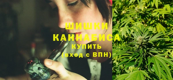гашик Козельск