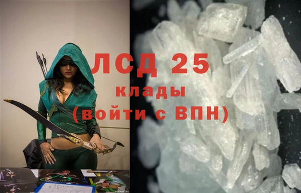 гашик Козельск